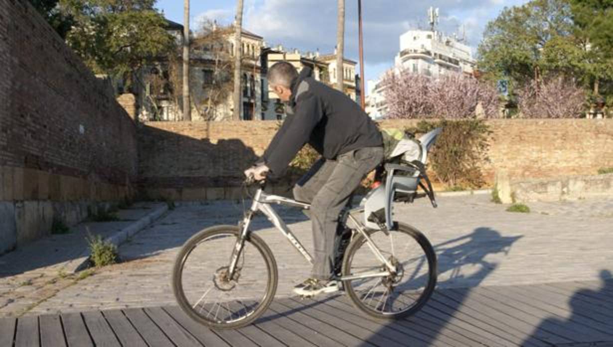 Ciclista circulando por el carril bici en Sevilla