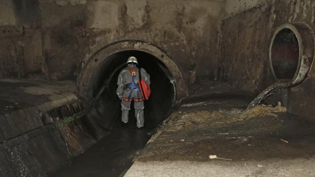 Sevilla bajo tierra: de los peces del Alamillo al «fantasma» de San Bernardo