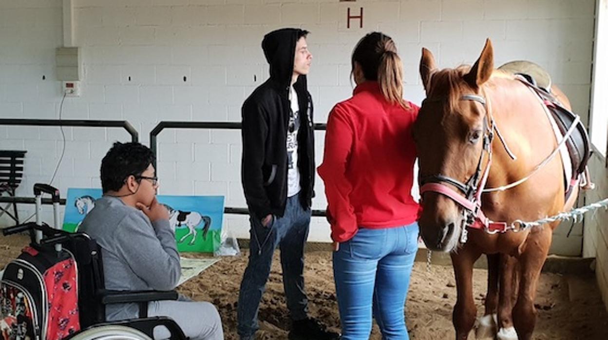 Los caballos facilitan la integración de alumnos de educación especial