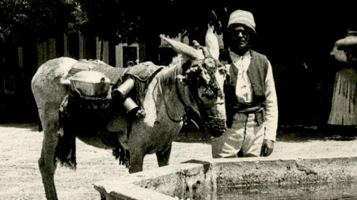 Rodaje de El Barbero de Sevilla