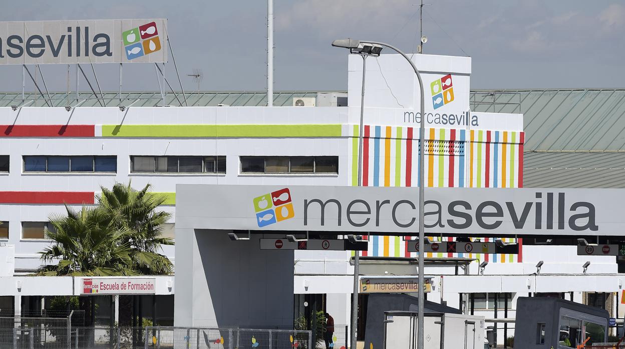 nstalaciones de Merscasevilla