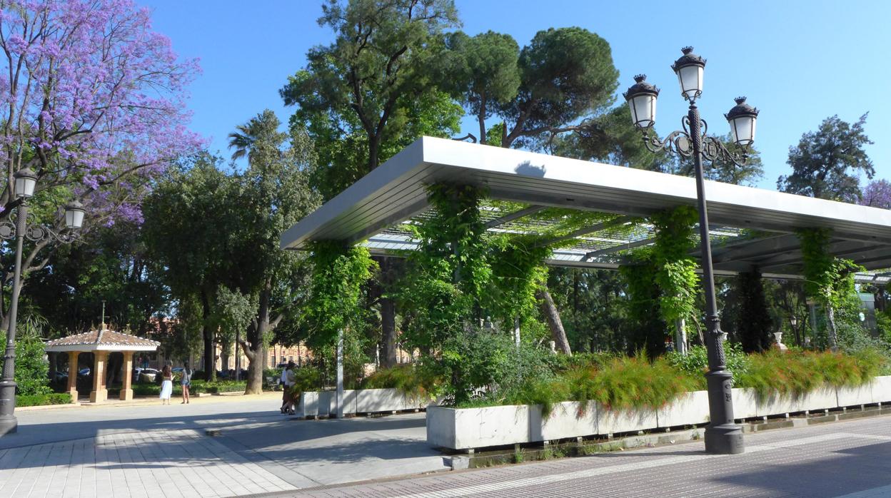 Zona del Cristina