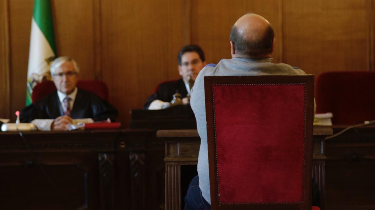 Un momento del juicio celebrado en la Audiencia de Sevilla
