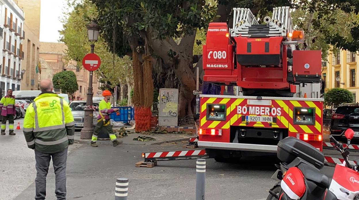 Una intervención, hoy, en la Plaza Cristo de Burgos