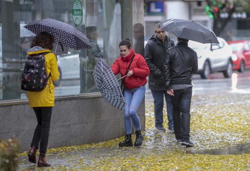 Borrasca Daniel: Un niño herido por la caída de un árbol en el Centro de Sevilla