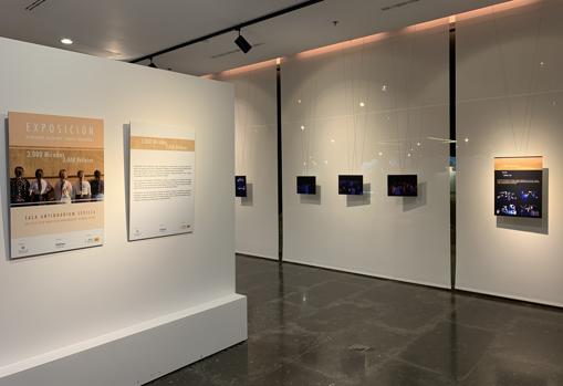 Exposición que se muestra en la sala Antiquarium de Sevilla