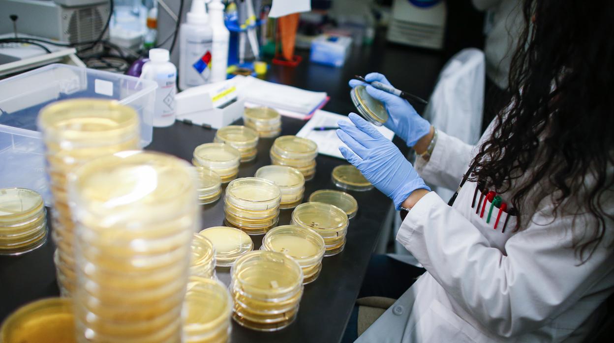 Una sanitaria comprueba los análisis hechos para detectar el coronavirus