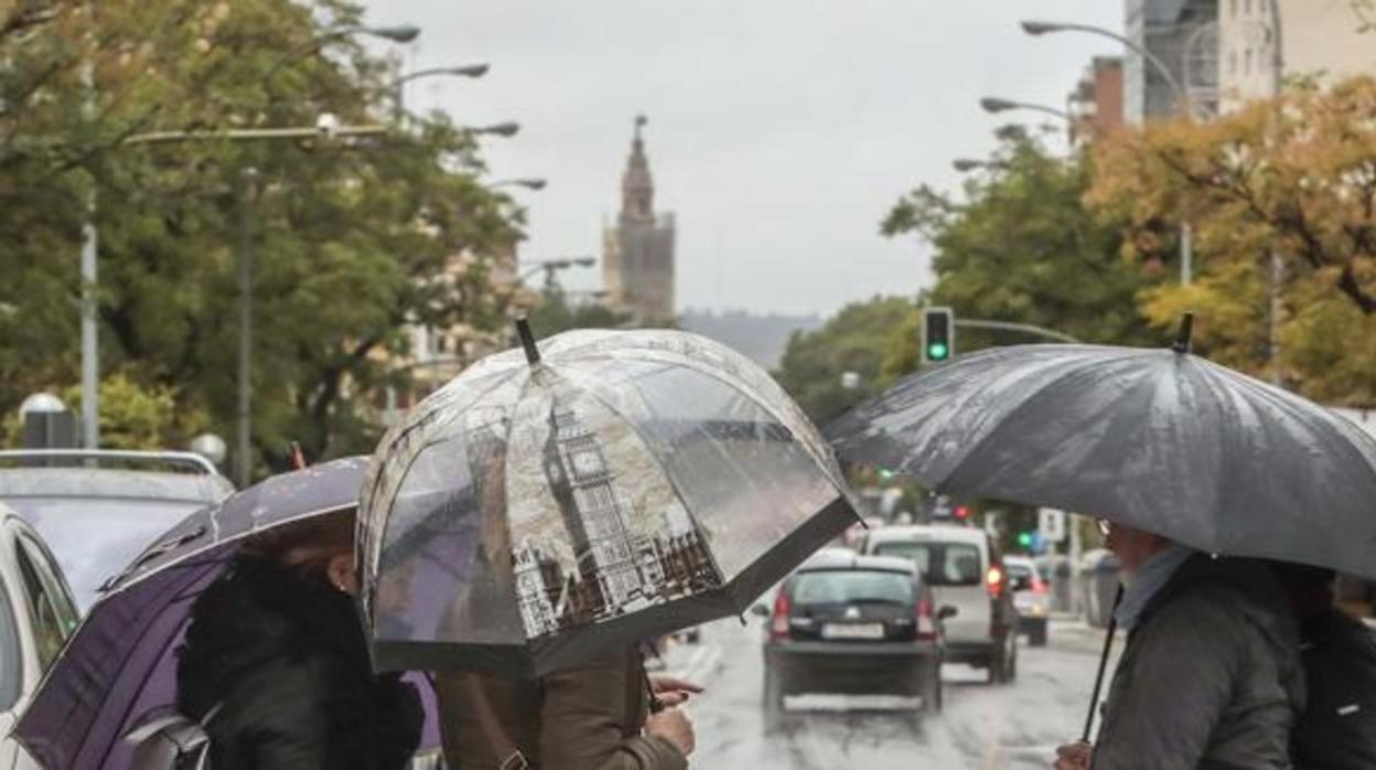 Casi dos meses después regresan las lluvias a Sevilla con bajada de diez grados y tormentas este viernes