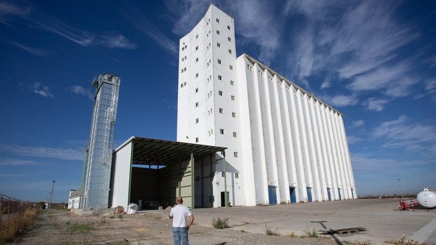 El viejo silo de la marisma que renació con quinoa