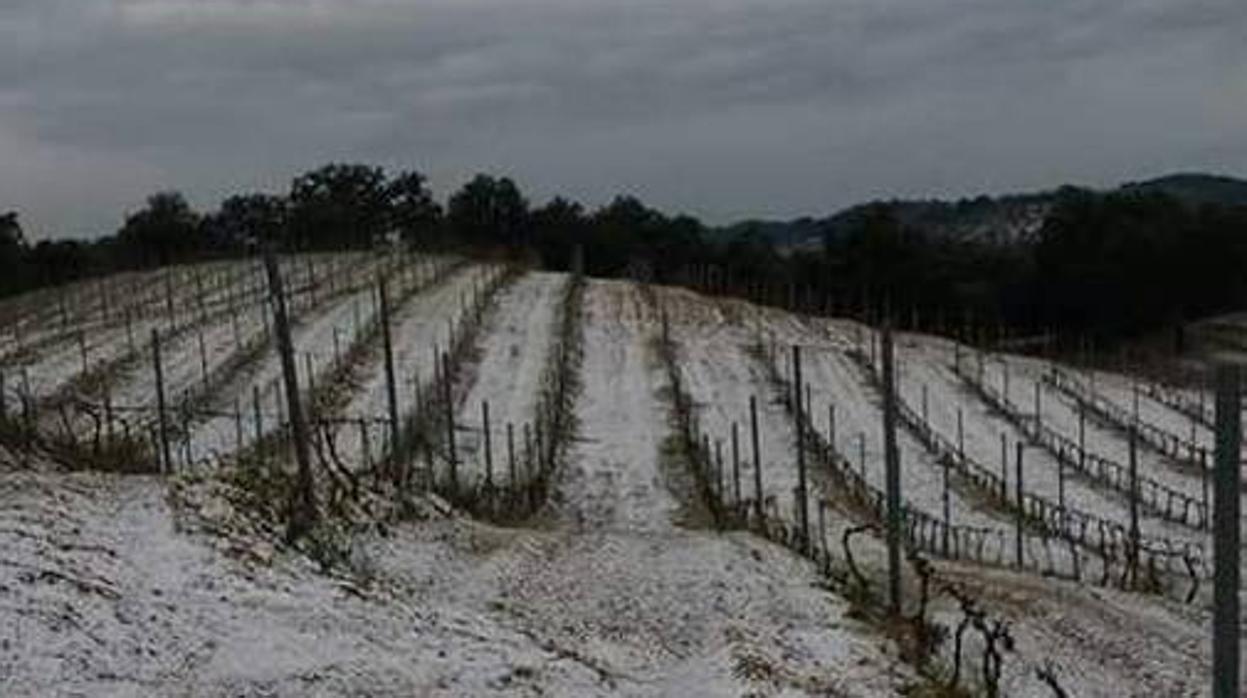 Nieve en la finca La Margarita, en Constantina, durante una de las últimas nevadas en la provincia