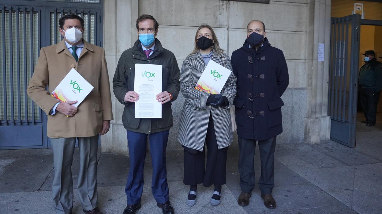Los responsables de Vox en Sevilla, en los juzgados tras su denuncia