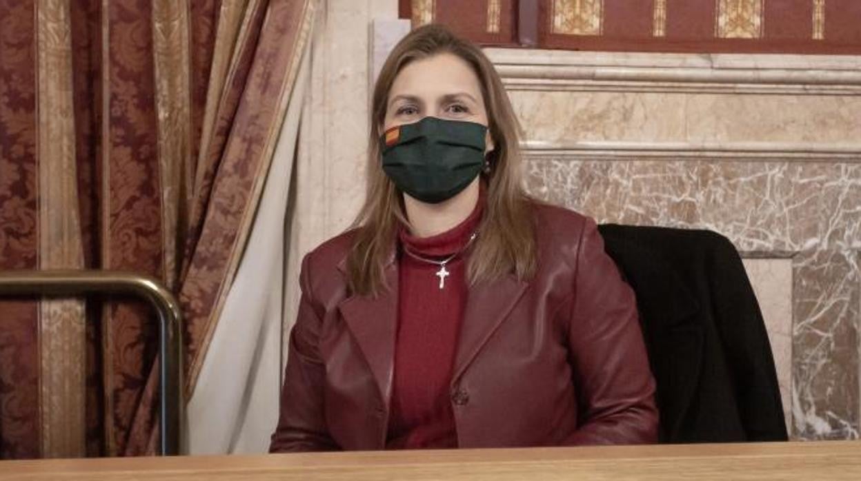 Cristina Peláez, en el pleno de presupuestos de este martes