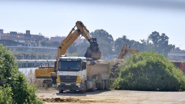 Comienzan las obras del Jardín de las Cigarreras en el barrio de Los Remedios de Sevilla
