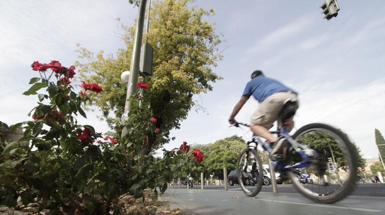 Un ciclista en un paseo por Sevilla