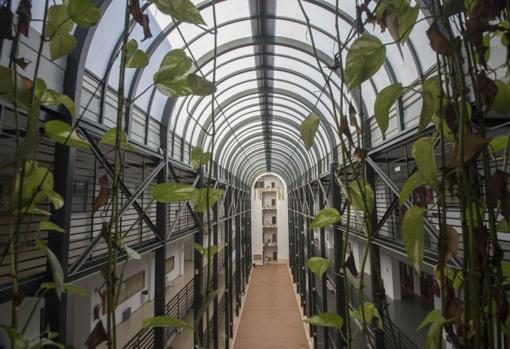 Las cubiertas de la facultad recién renovadas