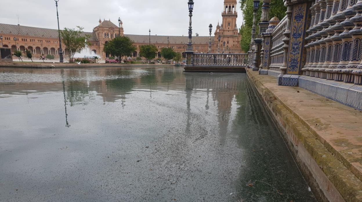 La ría de la Plaza de España de Sevilla, con una manta de mosquitos sobre la lámina de agua