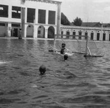 Partido de Waterpolo en el Club Natación Sevilla