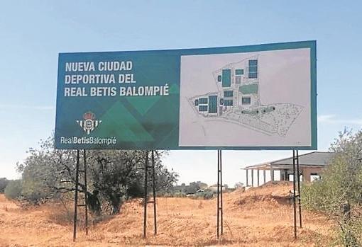 Nueva ciudad deportiva del Betis