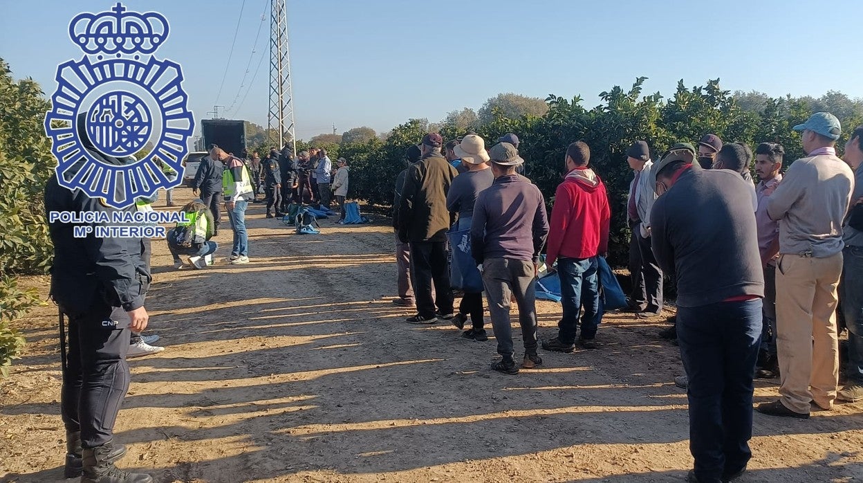 Los agentes en el momento de la inspección sorpresa en la explotación de Córdoba