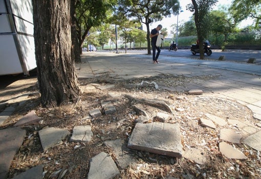Aceras levantadas en la avenida de los Descubrimientos