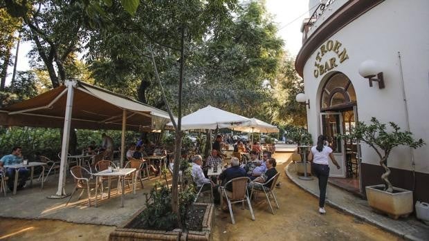 Adjudicado el Bar Citroen a Puerto de Cuba por un canon anual de 253.750 euros