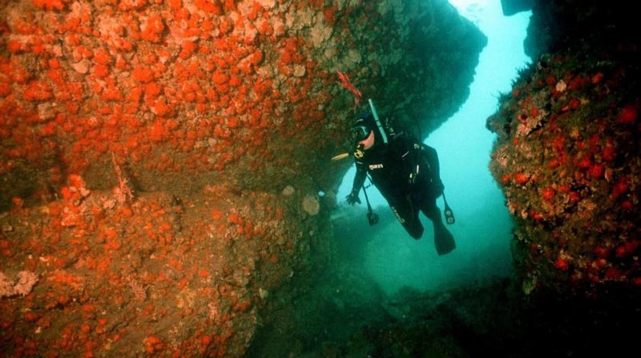 Práctica de buceo en Tarifa