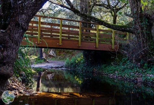 Paso de puente en el sendero de el Risco de Levante