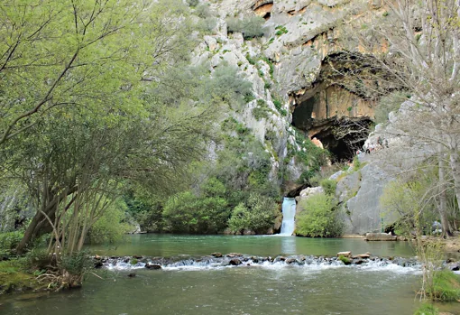 La cueva del Gato se encuentra en el término municipal de la localidad malagueña de Benaoján