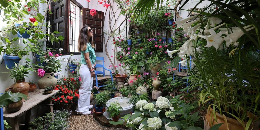 Patios De Córdoba 2023 Santa Marina Y San Agustín Donde Hay Que Ver Oler Y Escuchar 0748