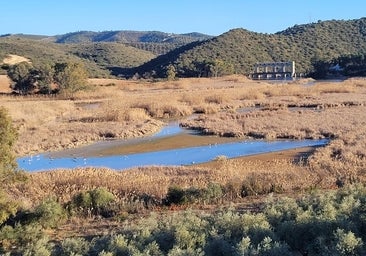 Las obras de mejora del Cordobilla continúan paralizadas después de un año