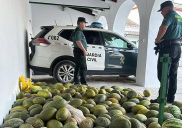 La Guardia Civil recupera más de 700 kilos de melones y sandías robados en Montalbán