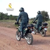 Falsificaron 847 cartillas de vacunación de mascotas en Málaga