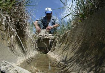 Los regantes de Córdoba temen por el futuro de sus explotaciones si no llueve pronto