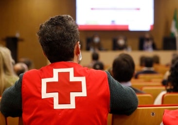 Casi 22.000 personas colaboran con Cruz Roja en Córdoba, 7.000 más que hace una década