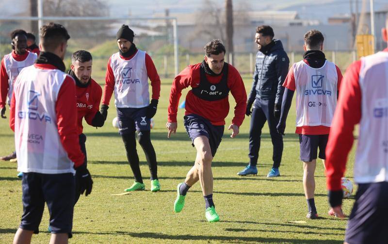 El Córdoba CF y González Calvo cierran un acuerdo extrajudicial con la empresa del césped de la Ciudad Deportiva