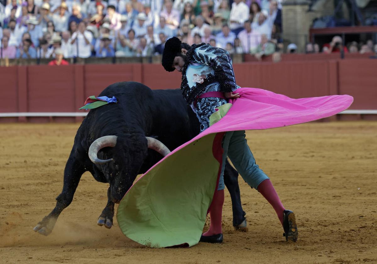 En vídeo, la faena histórica de Morante al toro Ligerito en Sevilla