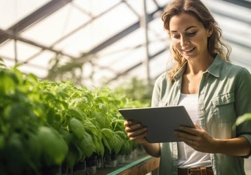 Cómo conseguir el Kit Digital para autónomos de hasta 12.000 euros: estos son los requisitos