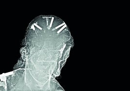 Sagrada materia gris