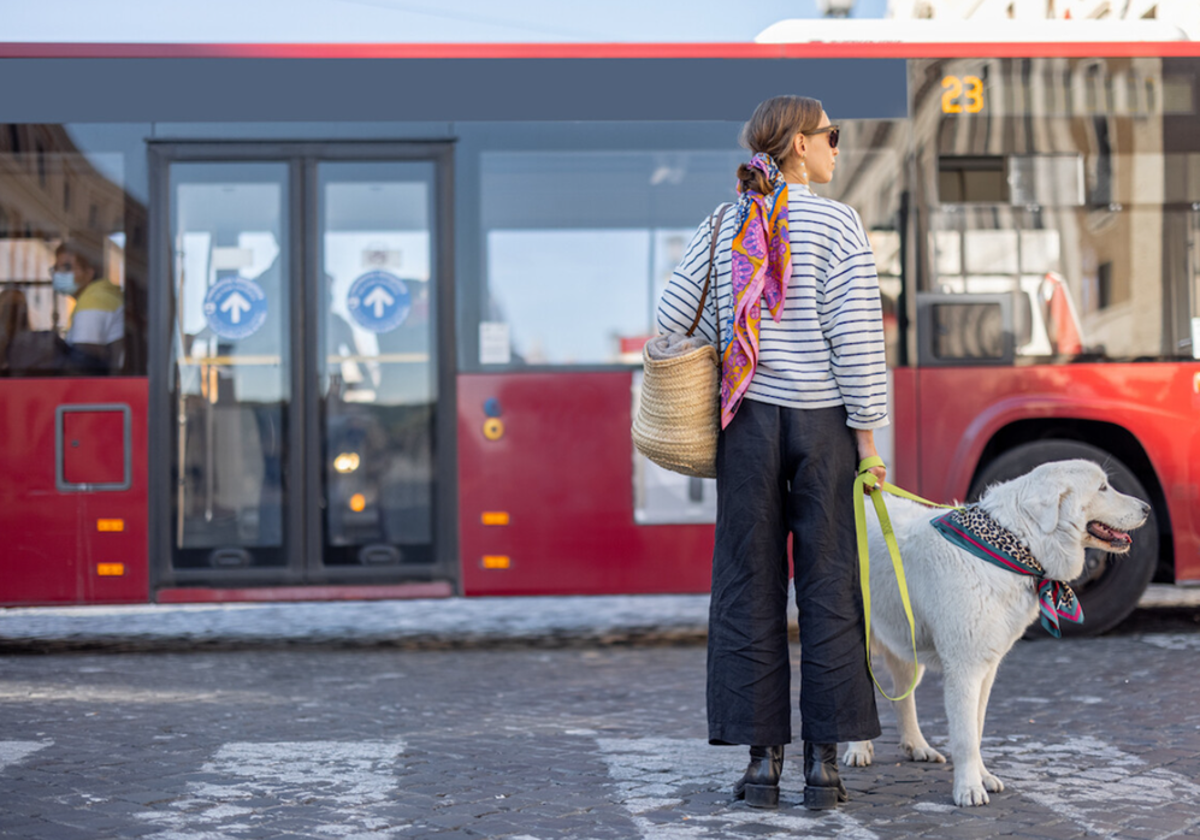 se permiten perros en el metro de dc