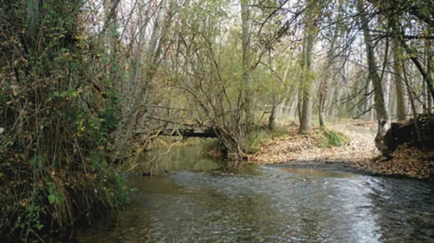 Río Alhama