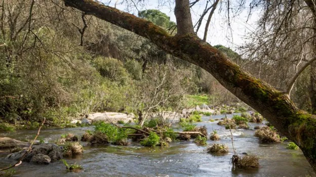 La rivera del Huézar es uno de los enclaves más interesantes de la Sierra Norte sevillana