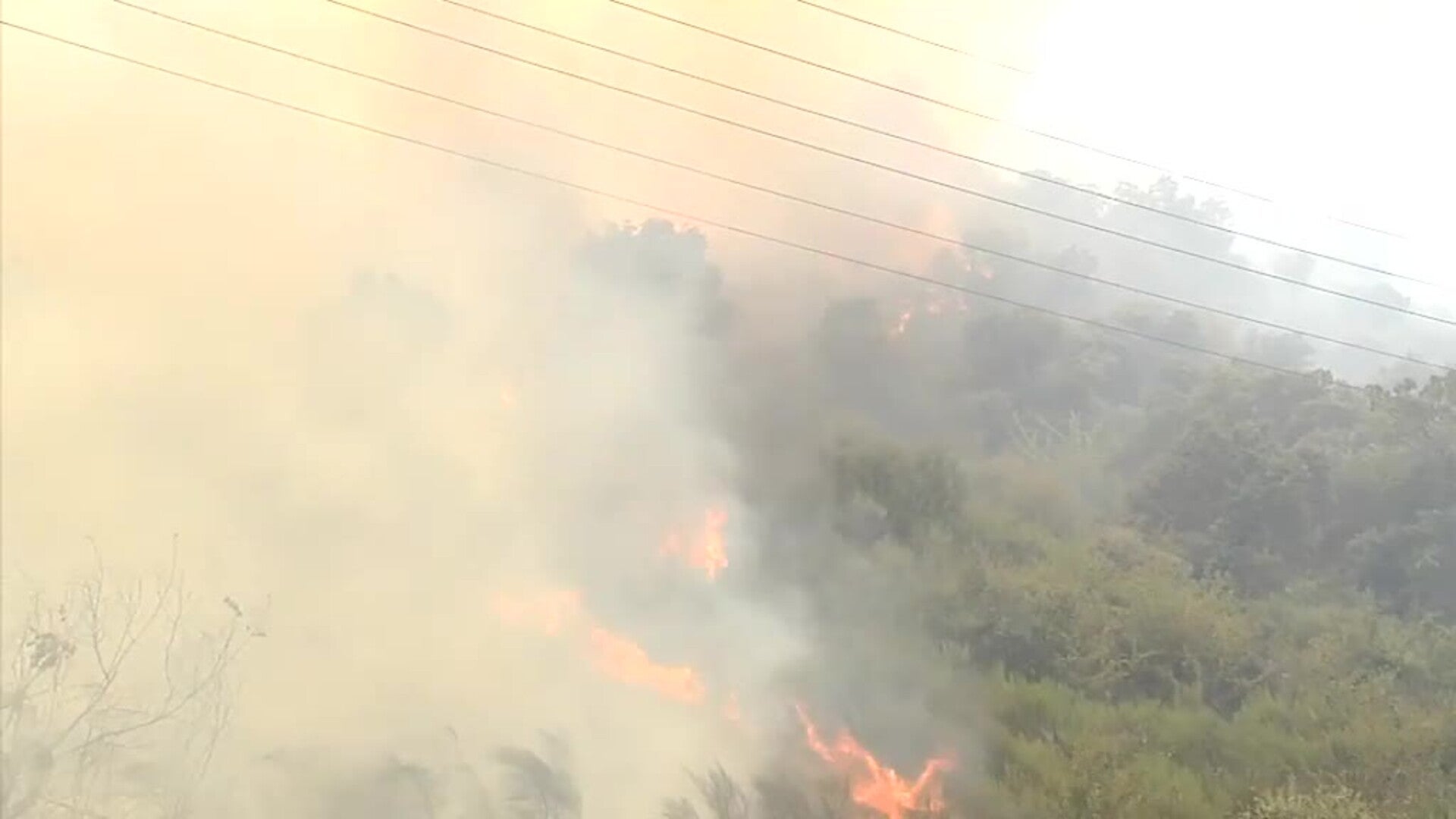 El fuego arrasa en Galicia 19 mil hectáreas y medio centenar de viviendas