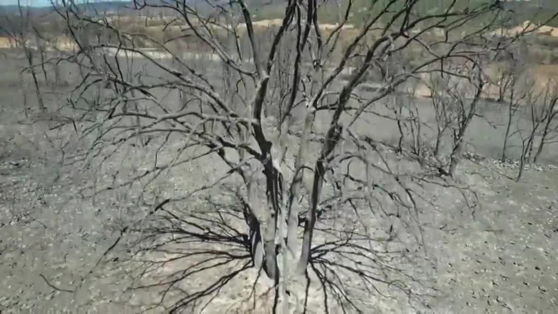 La devastación del fuego desde el aire en la localidad zamorana de Tabara