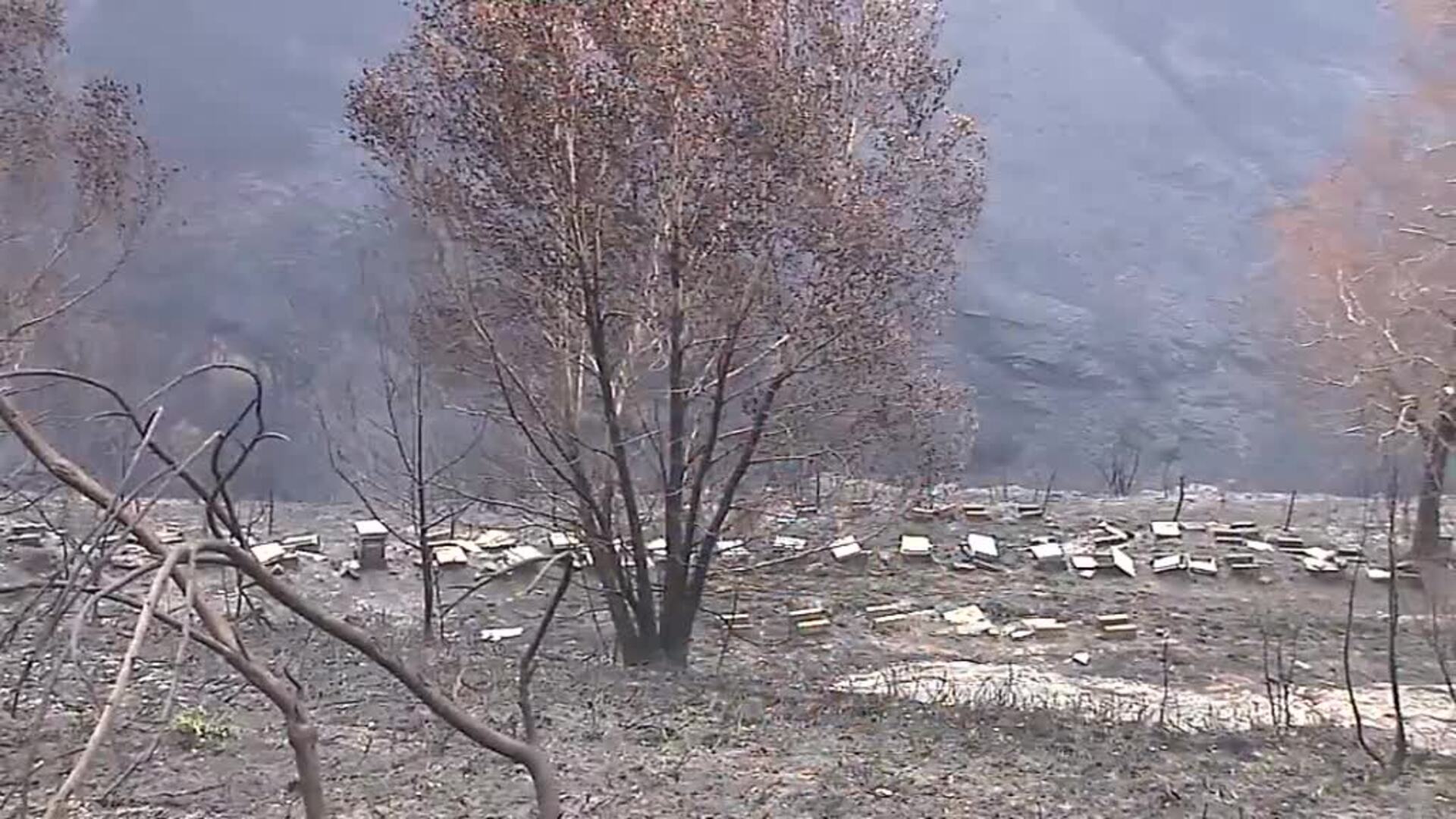 Los incendios en la Sierra de O Courel arrasan 1500 colmenas