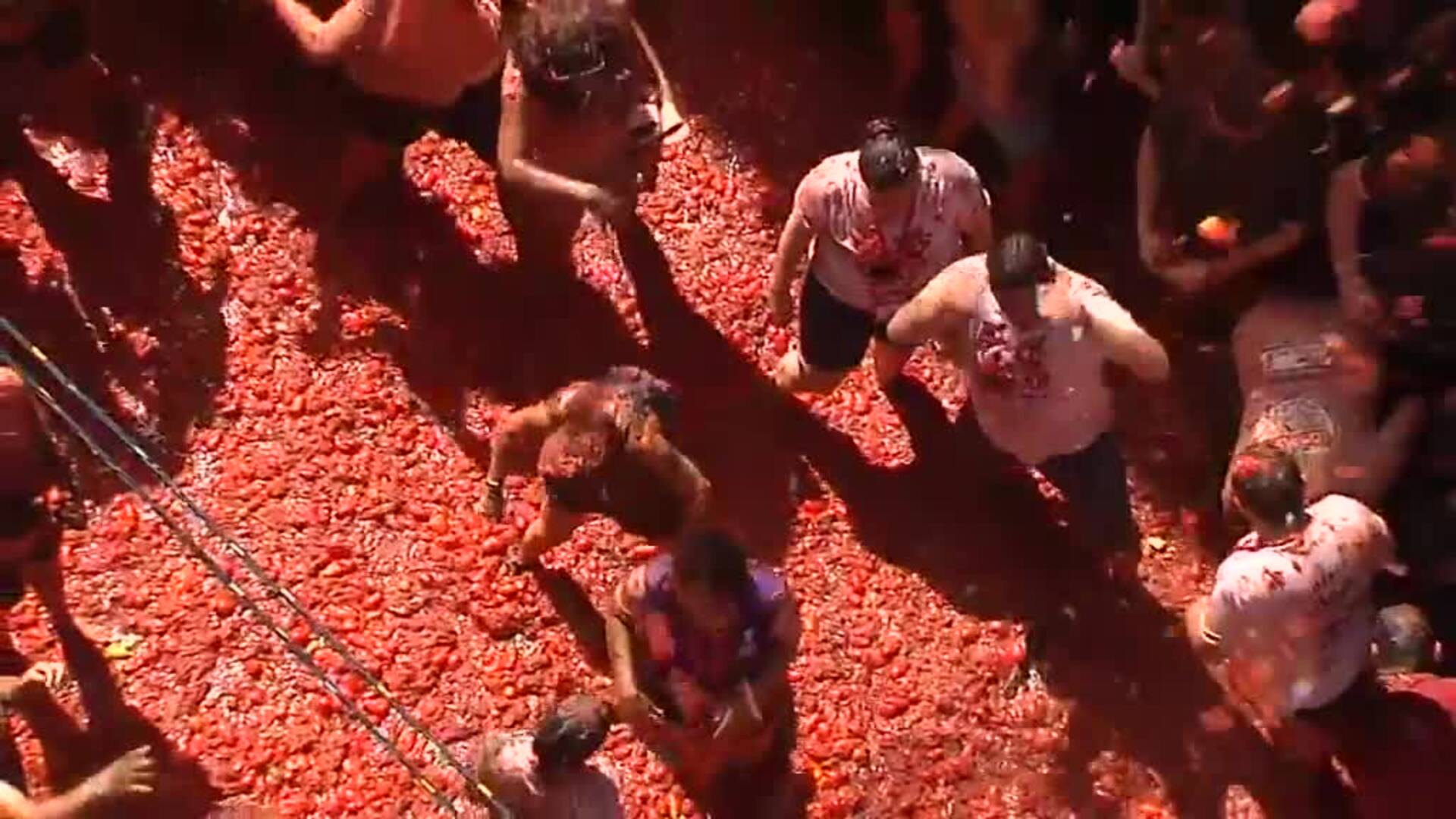 Vuelve la Tomatina a las calles de Buñol