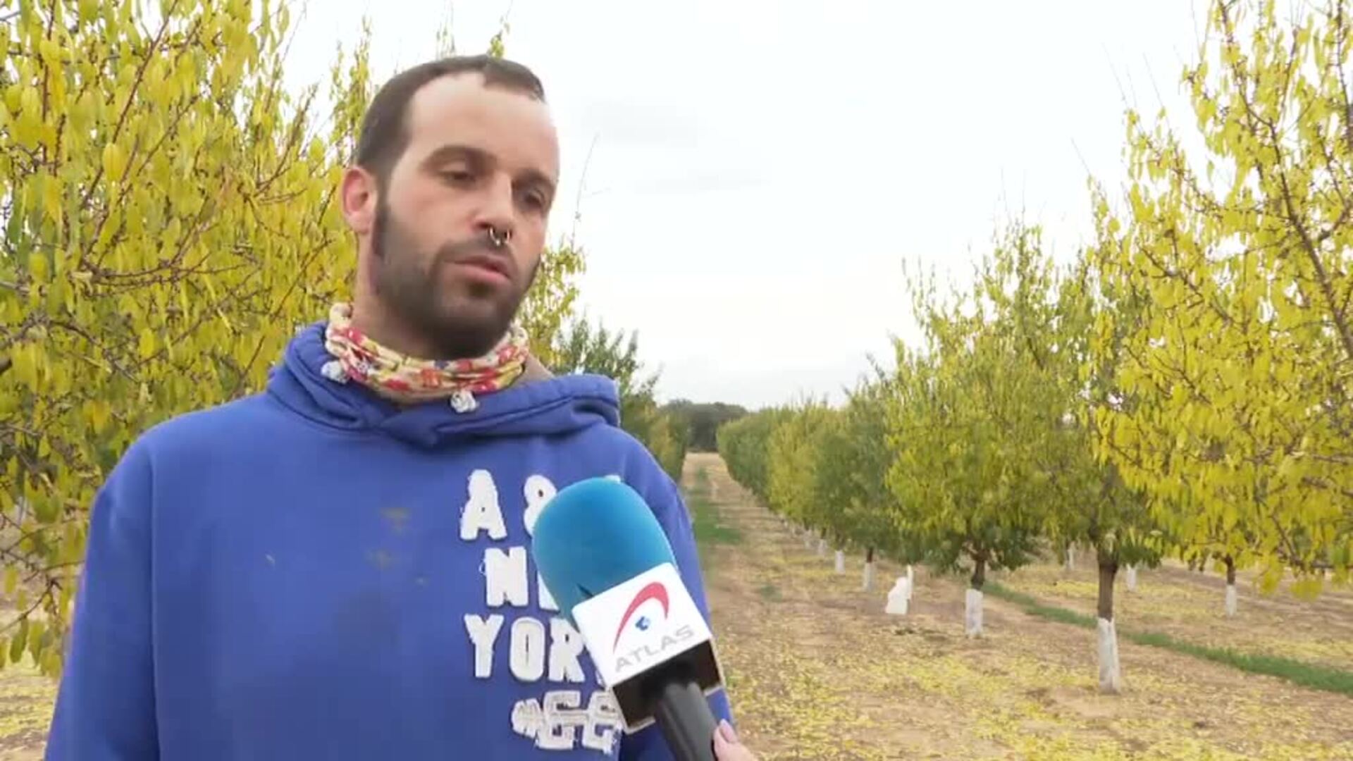 Los incendios de verano dejan sin alimento a ciervos y corzos