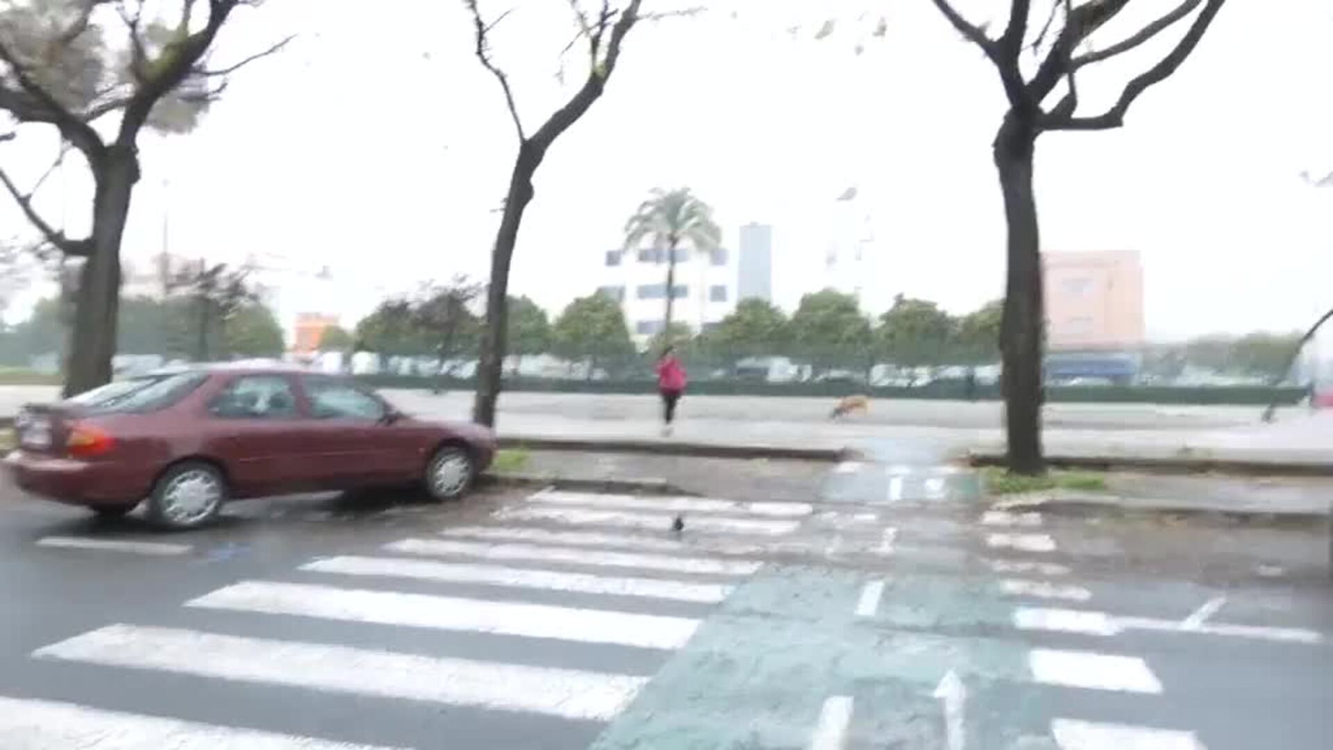 Atropella mortalmente a un joven que cruzaba por un paso de cebra en patinete eléctrico