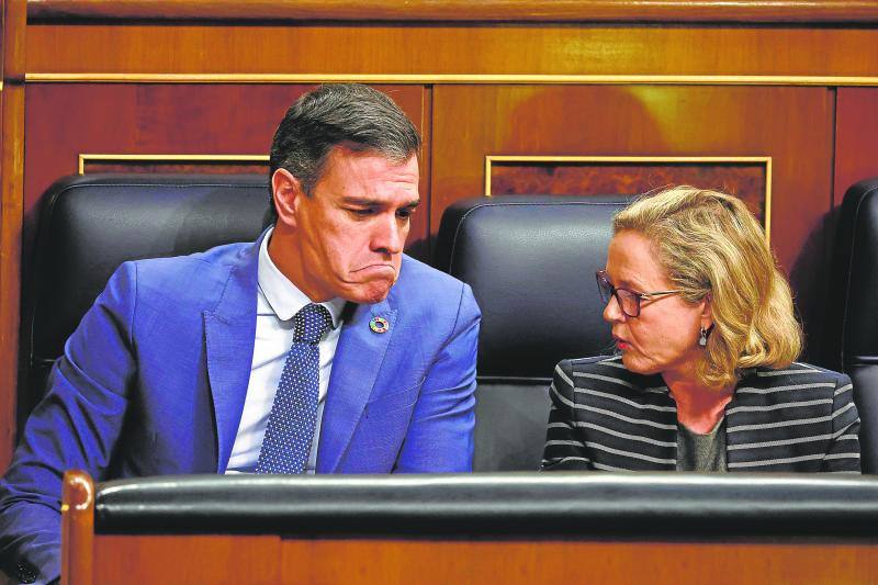 Ignacio Marco-Gardoqui: Ponente Frenesí
