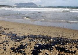 Así es la solución para proteger las playas de los daños del petróleo