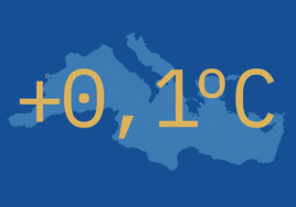 Así nos afecta el calentamiento del Mar Mediterráneo